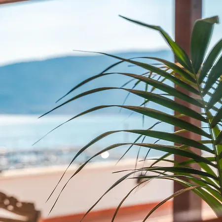 Il Teatro Sul Mare, Terrazza Panoramica, Barbecue E Cinema Tra Lerici E Cinque Terre * La Spezia